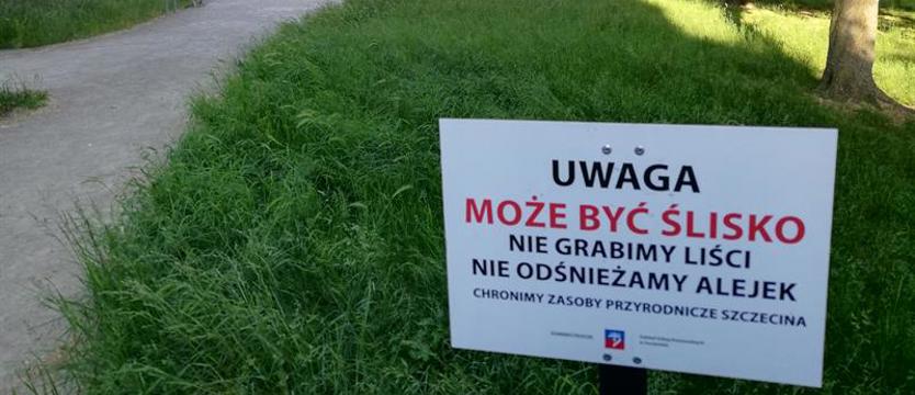 Śnieg w czerwcu?