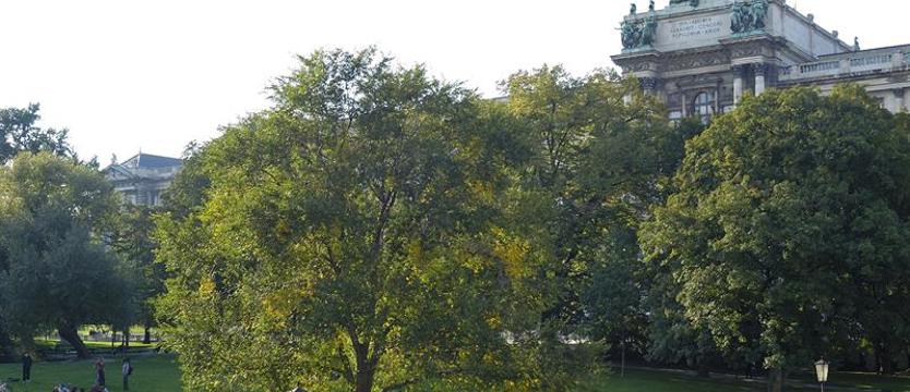 Zielony Wiedeń