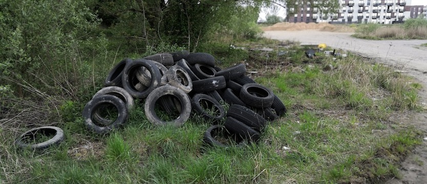 Dzikie śmieci. Ktoś porzucił, szczecinianie zapłacą