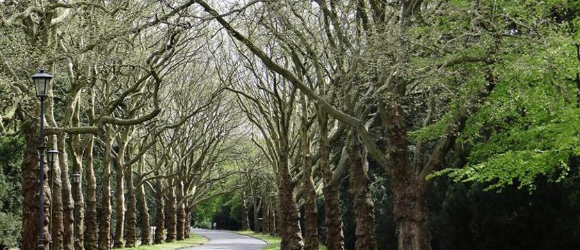 Rowerowa wyprawa przez „park umarłych”