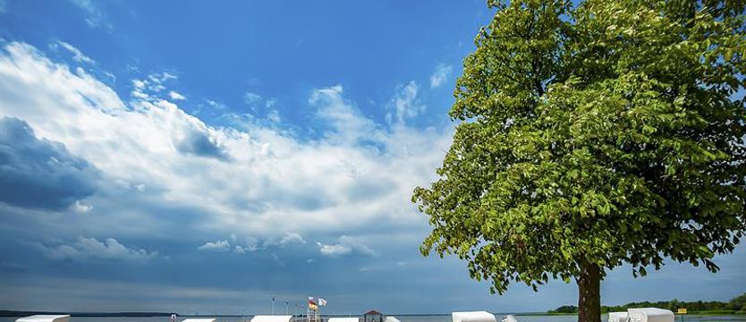 Zachodniopomorskie docenione! Z Błękitną Flagą 21 kąpielisk i marin