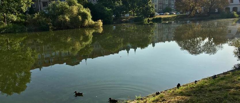 Pływająca Rusałka?