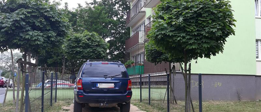 Ładny kwiatek?