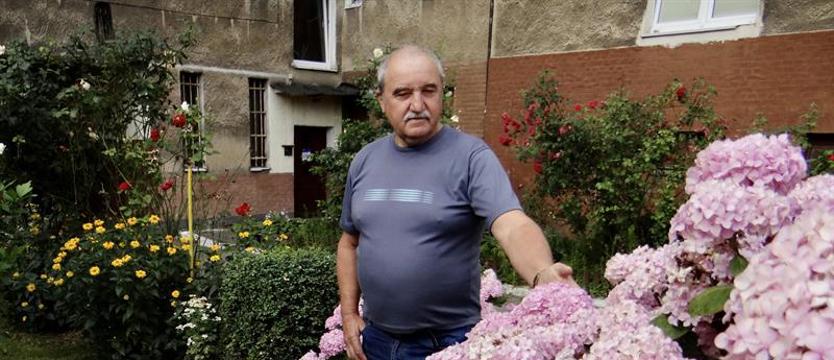 Turzyński zakątek hortensji i róż