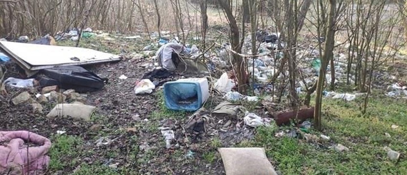 W sobotę czas letnich porządków w Puszczy Bukowej