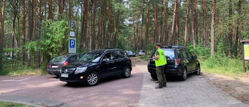 Mandat od straży leśnej za parkowanie nad morzem