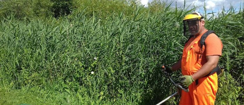 Letnie porządki przy drodze Gryfino-Mescherin