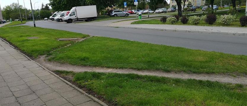 Pół wieku chodzą po trawniku