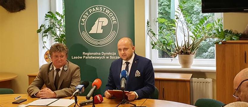 Lasy Państwowe proponują Szczecinowi łąki kwietne