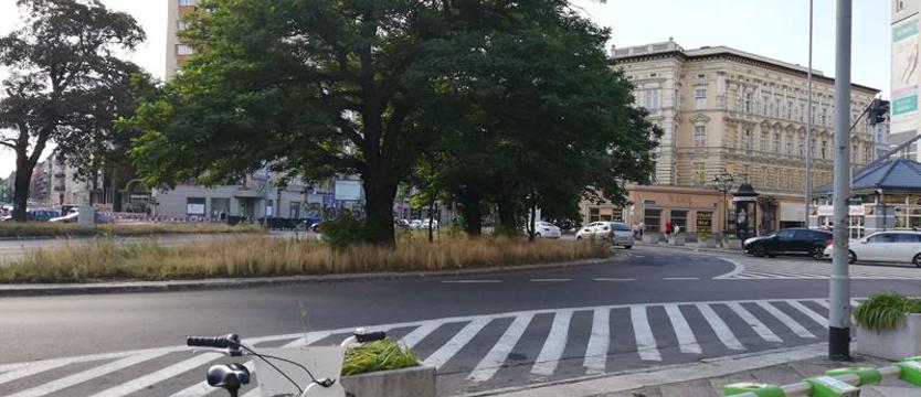 Wyrok na drzewa z pl. Zgody