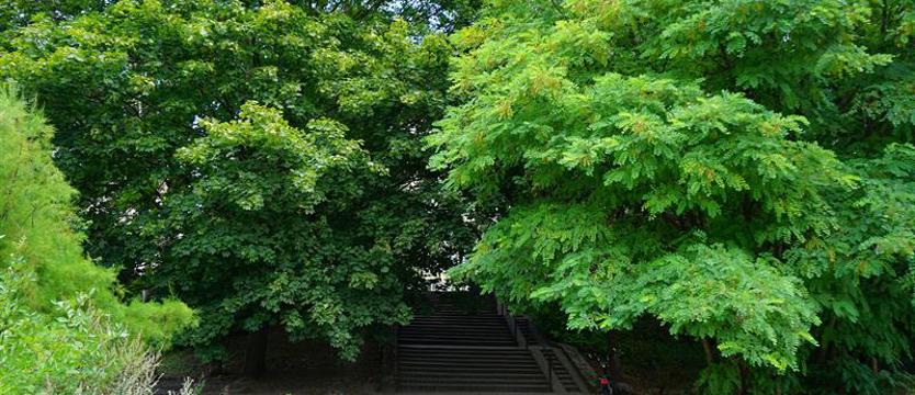 Zaproszenie do zielonego „Wspólnego Domu”