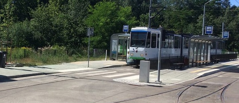 Niebezpieczna prowizorka usunięta z pętli w Lesie Arkońskim