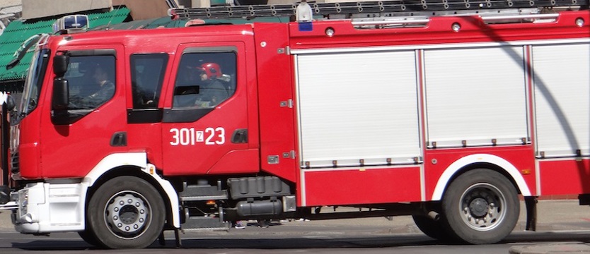 Płonął tartak przy ul. Golisza w Szczecinie