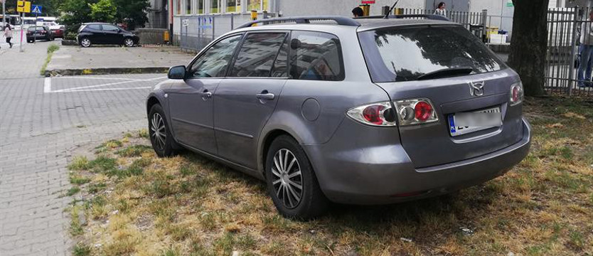Trawnik jak parking