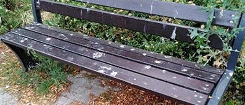 (Nie)wesoło dzieciom w brudzie