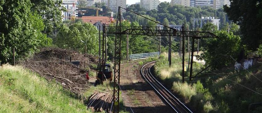 Kolej, która ma opleść Szczecin, czyli… wsiąść do pociągu metropolitalnego