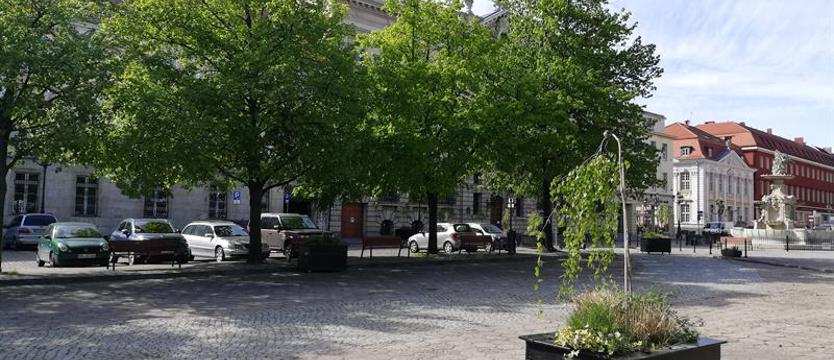 Zieleń dla „Orła Białego”