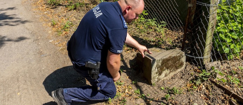 Kradzież nagrobków w Skolwinie. Przeznaczone na cele budowlane?