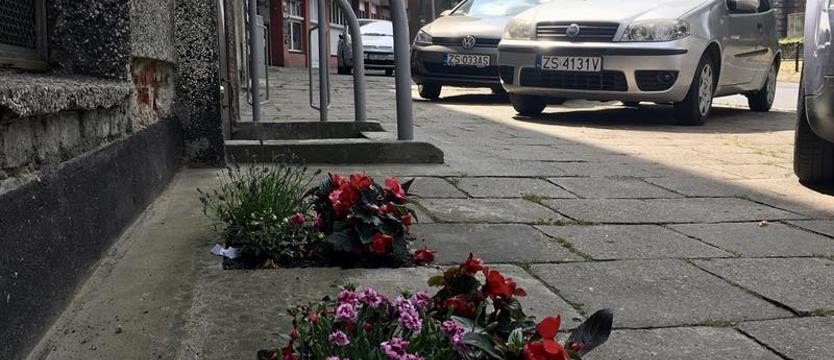 Bank zieleni – dla szczecinian i miasta