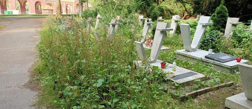 Przykry obraz niepamięci. Na cmentarzach bez zmian