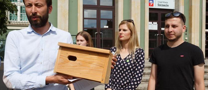 Komary, jerzyki i... polityka