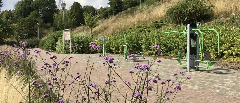 Od trampoliny po bocianie gniazdo