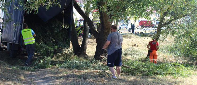 Staw uporządkowany, a przystanek w śmieciach