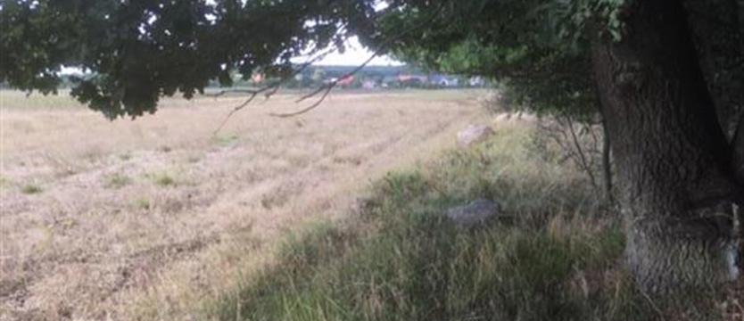 Domy w Puszczy Bukowej? Spór na paragrafy