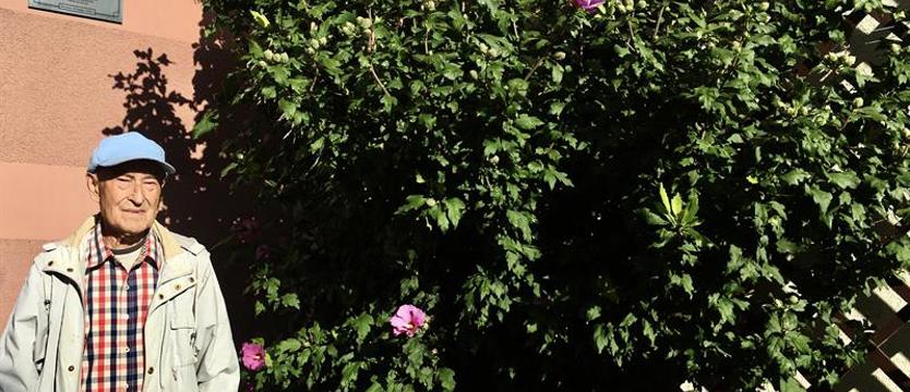 Hibiskusy pana Jana