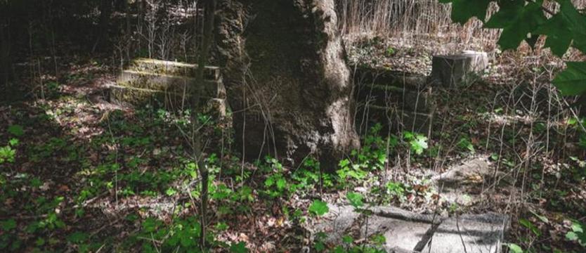 Denkmal Pomorze zaprasza do porządkowania cmentarza