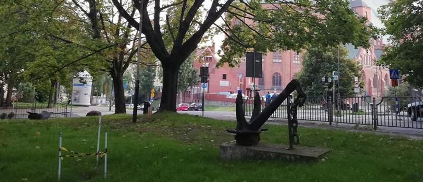 Stare Miasto stawia na zielone