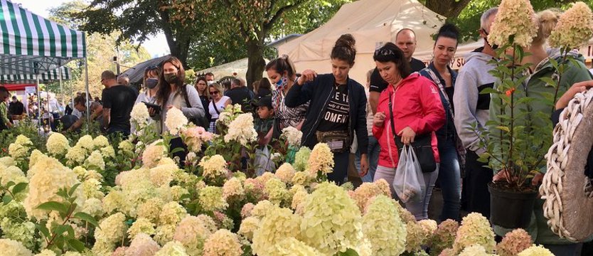 Pamiętajcie o ogrodach na Wałach Chrobrego. Smaki i kolory
