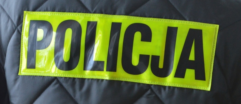 Nieletni, którzy znęcali się nad ptakami, staną teraz przed sądem
