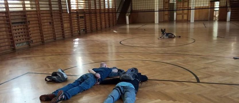 Sara na gorącym uczynku zatrzymała włamywaczy