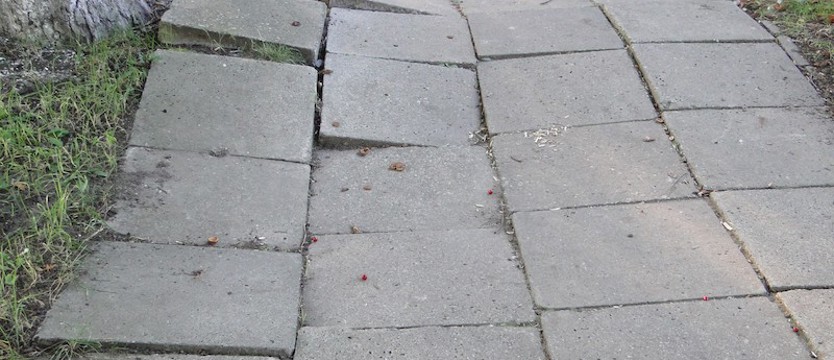 Rozgrzewka przedtreningowa na gryfińskiej Sportowej?