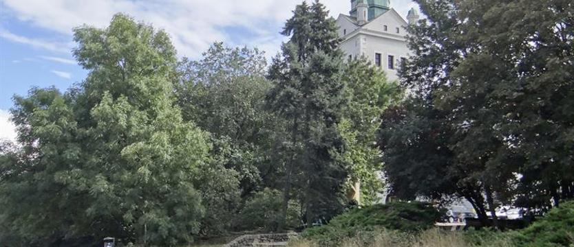 Cena powrotu do przeszłości. Przeciwko wycince drzew przy zamku