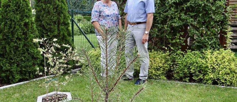 Między działką i wymarzonym ogrodem