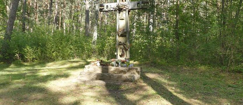 Gdzie ginęły jednostki, ludzka pamięć się nie zatrzymuje. Tajemnice borniańskich lasów