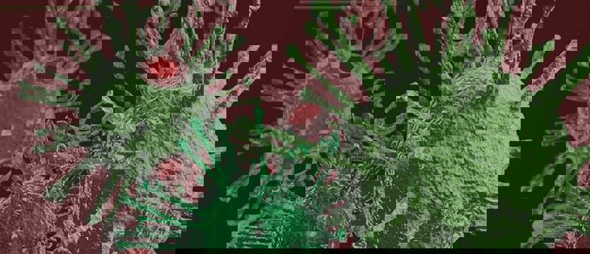 Rekordowe 1587 zakażeń koronawirusem w kraju. Zmarły 23 osoby