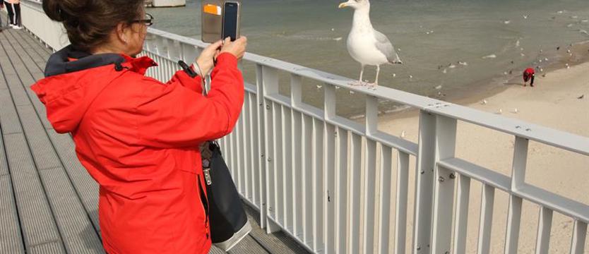 Kołobrzeg szuka pieniędzy. Płatne molo i toalety?