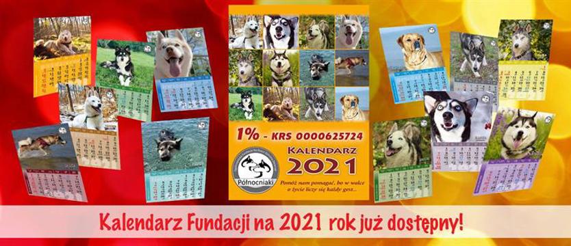 Rok z „Północniakami”