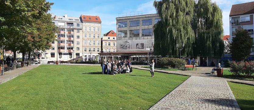 Otwarty i zielony