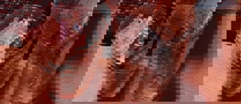Nielegalna kawiarenka internetowa w Szczecinku. A w niej gry hazardowe