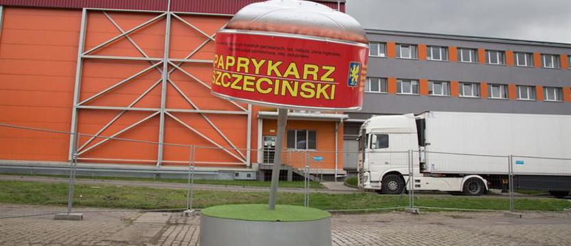 Instalacja paprykarza szczecińskiego. Hit czy kit?