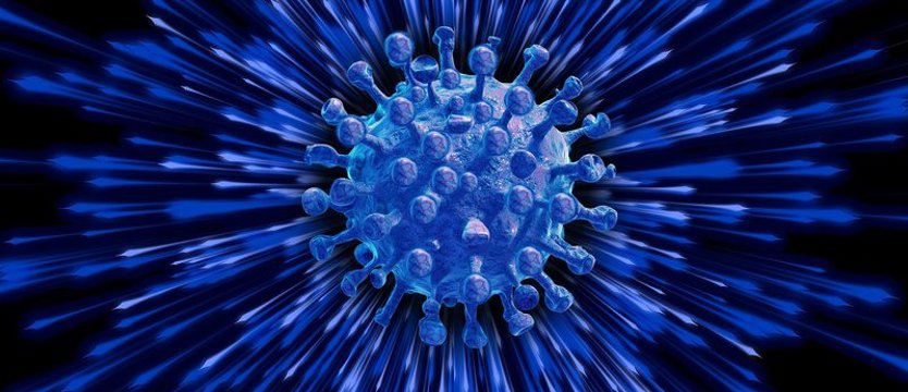 Kolejne rekordy epidemii. Ponad 6,5 tys. przypadków koronawirusa; zmarło 116 osób.