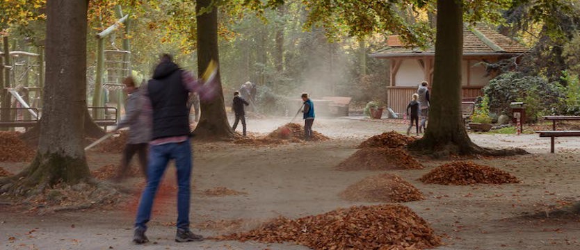Jesienne porządki w zoo. Wolontariusze mile widziani