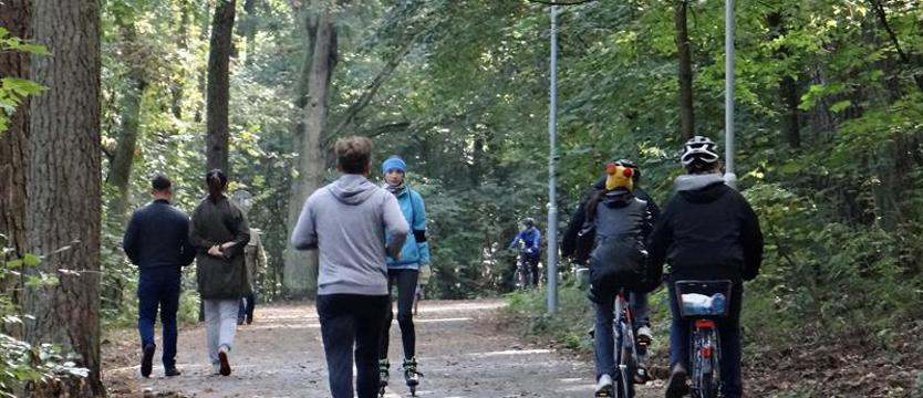 Nową pętlą rekreacji wokół Goplany