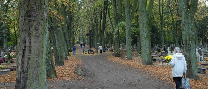 Pomagają seniorom, sprzątają groby ich bliskich