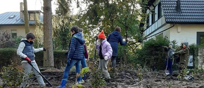 Posadzili las przy ul. Jaworowej w Szczecinie