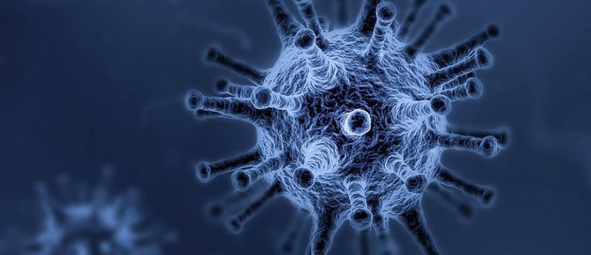 Najwyższe liczby epidemii. W kraju ponad 12 tys. zakażeń, zmarło 168 osób